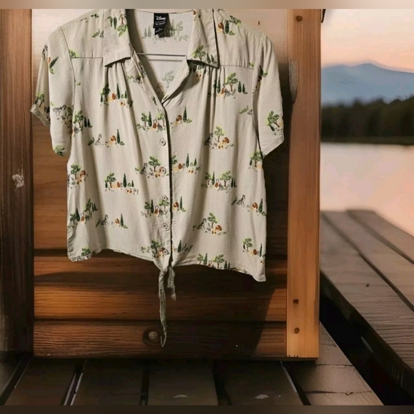 Disney Lady & The Tramp Classic Timeless Movie Whimsical Button Blouse XL - Picture 2 of 11